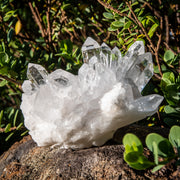 Crystal Quartz Cluster - Premium